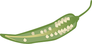 Vegetable