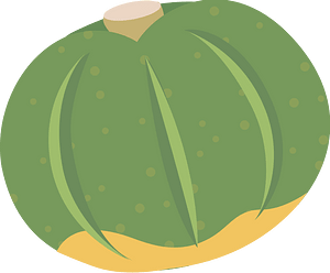 Vegetable