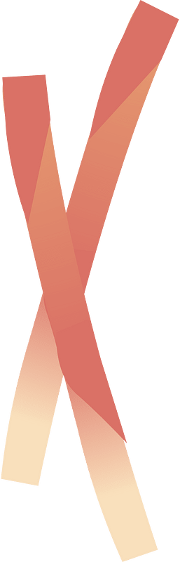 蔬菜