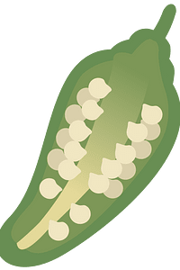 Vegetable