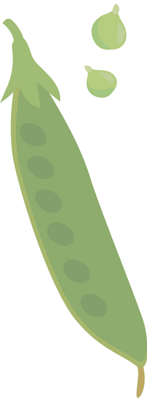Зеленчук
