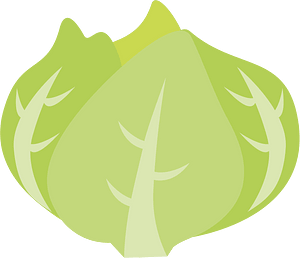 Vegetable