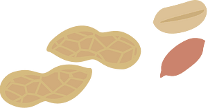 Vegetable