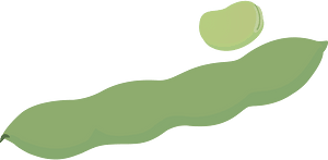 Vegetable