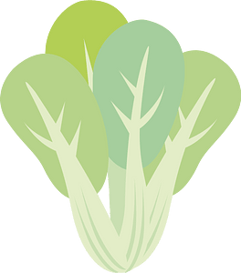 Vegetable