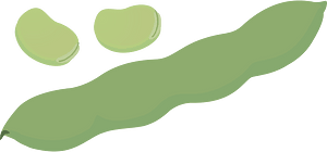 Vegetable