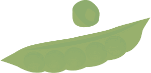 Vegetable