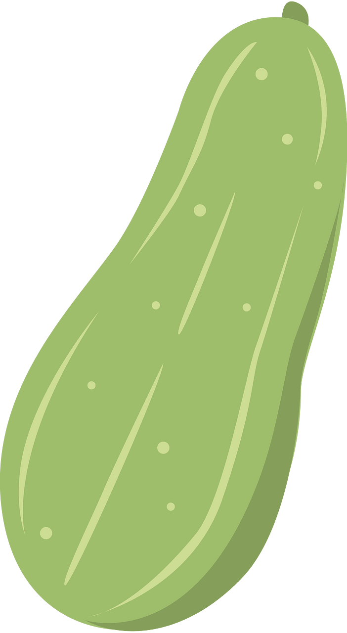 Vegetable