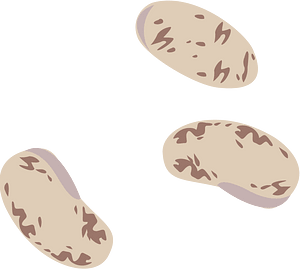 Vegetable