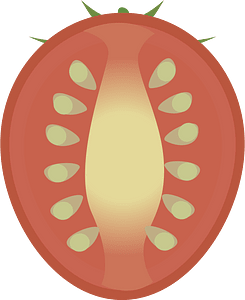Vegetable