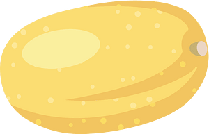 Vegetable