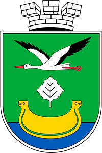 COA of Darnytsia Raion Big