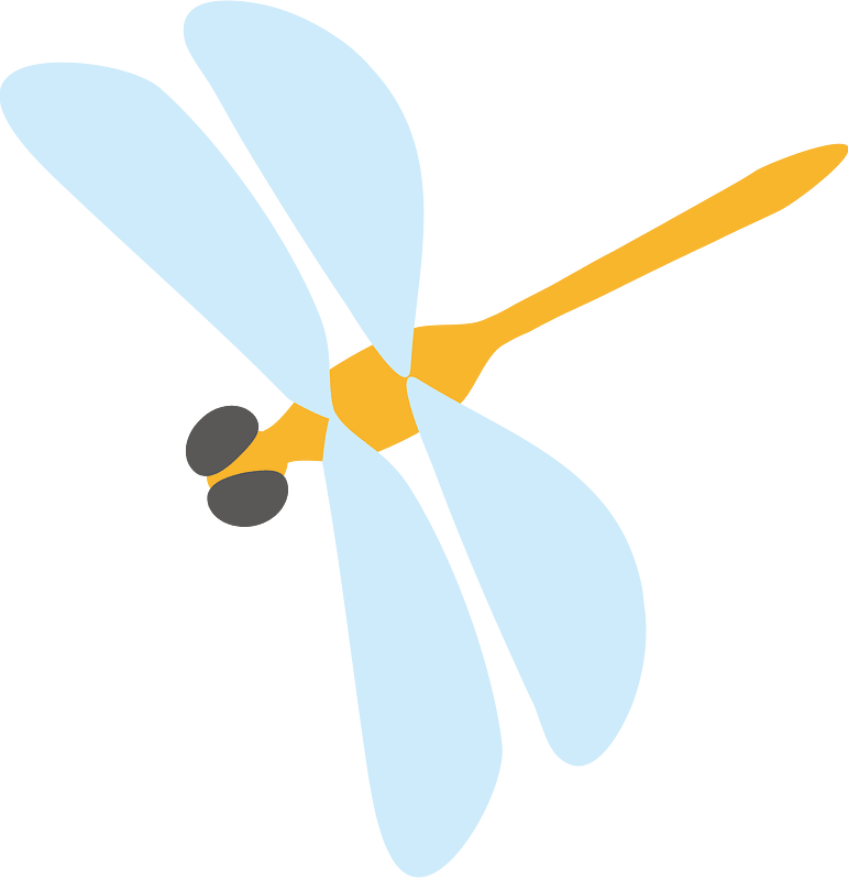 Libellula