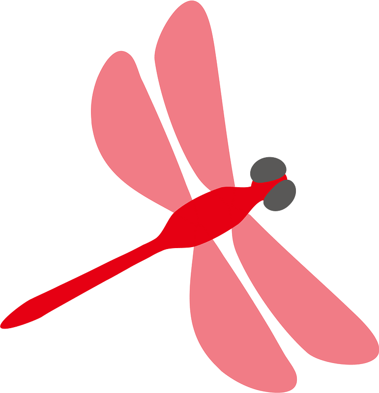 잠자리