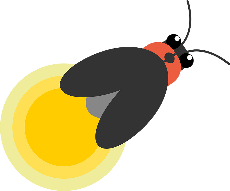 Firefly grass insect
