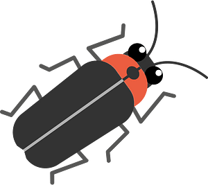 Firefly grass insect