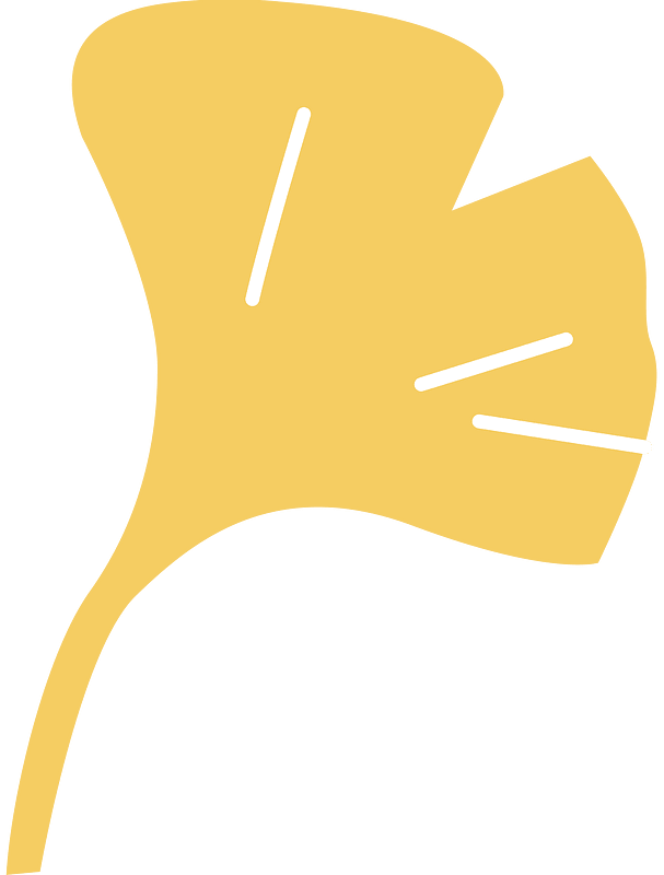 Ginkgo leaves