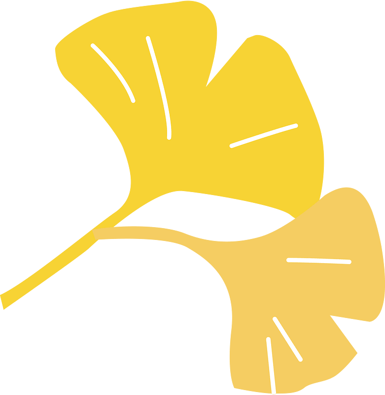 Ginkgo leaves