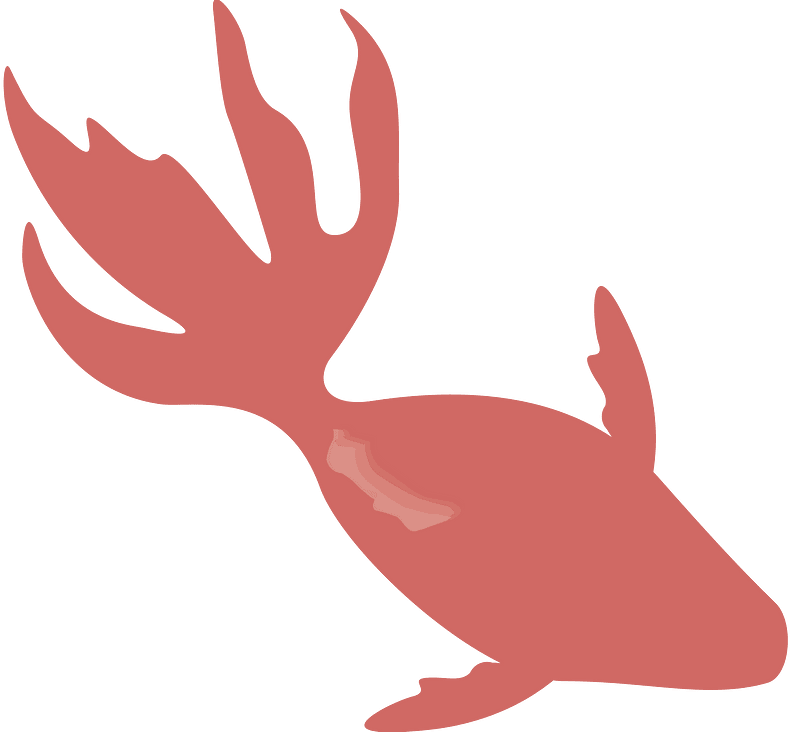 Goldfish