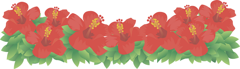 Hibiscus flower background