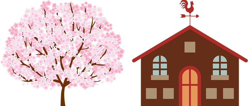 House and cherry tree