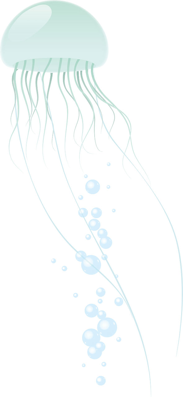 白蚱