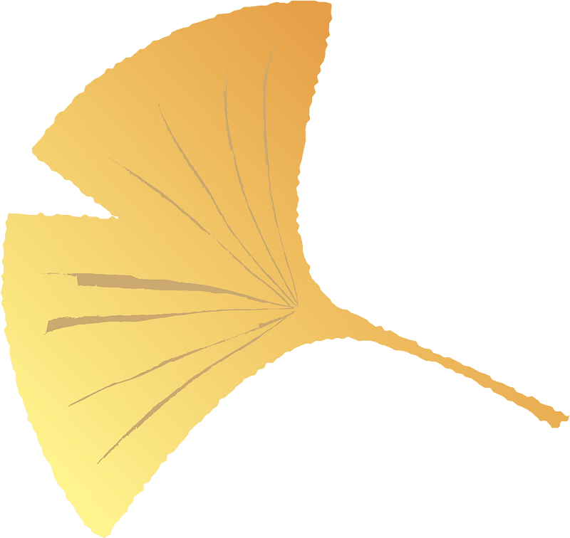 Leaf ginkgo autumn