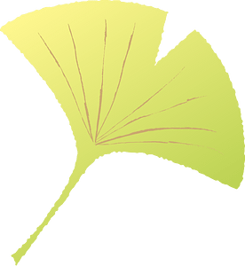 Leaf ginkgo autumn