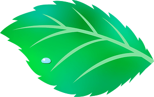 Leaf green