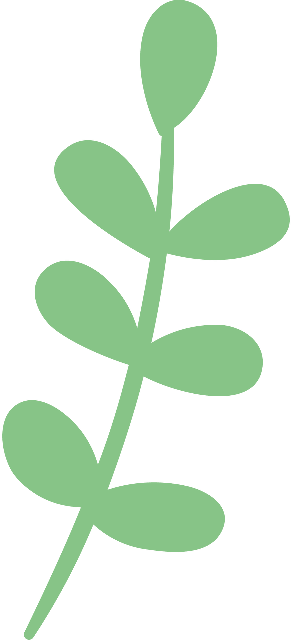Leaves green