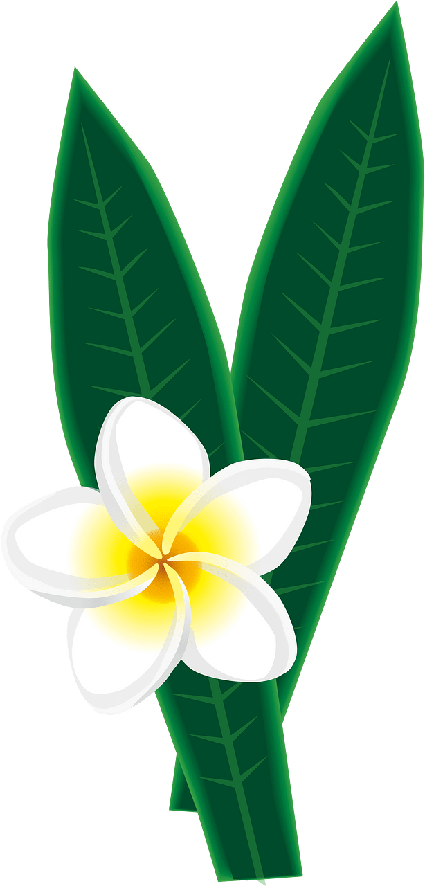 Flower in leaves