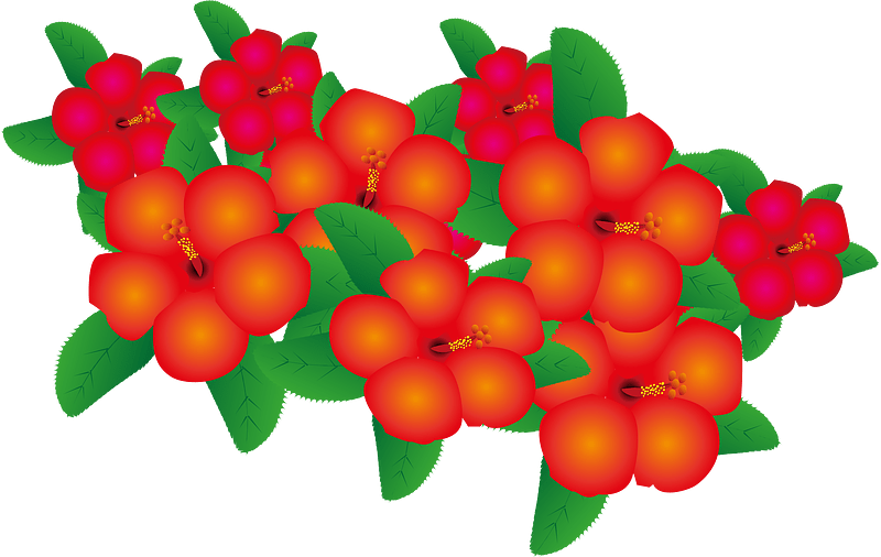Flowers