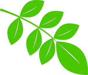 Green leaves