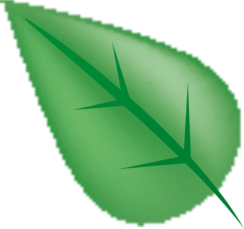 Green leaves