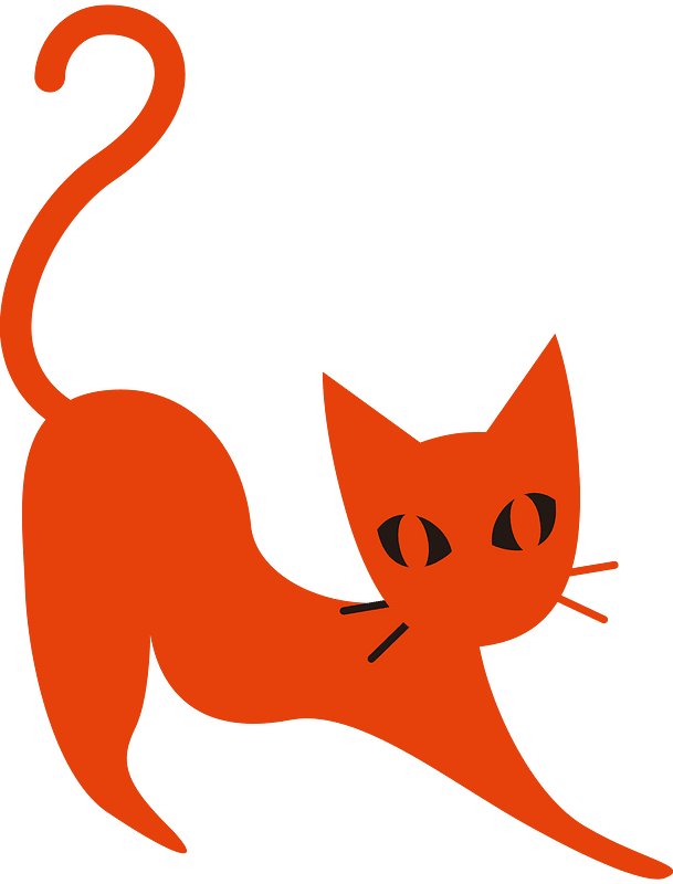Halloween black cat