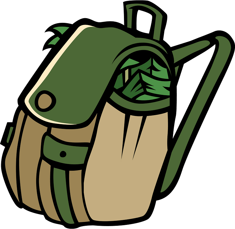 Backpack with money