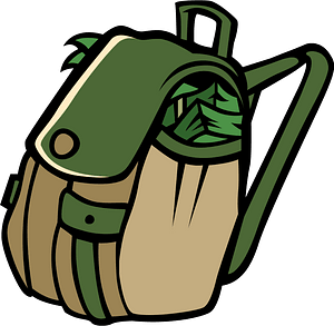 Backpack with money