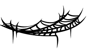 蜘蛛网