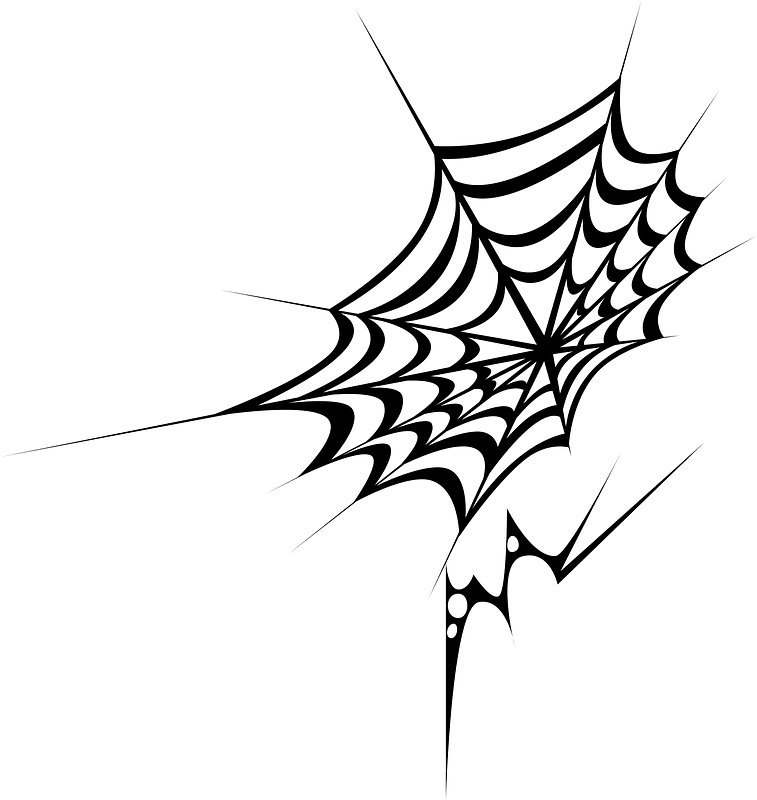 Spindelnät