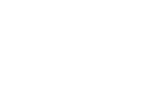 Spider web white with opacity