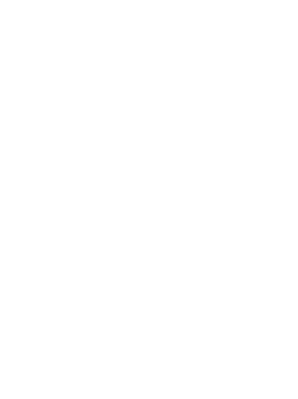 Spider web white with opacity
