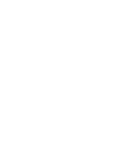 Spider web white with opacity