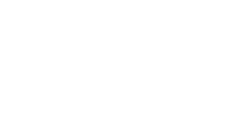 Spider web white with opacity