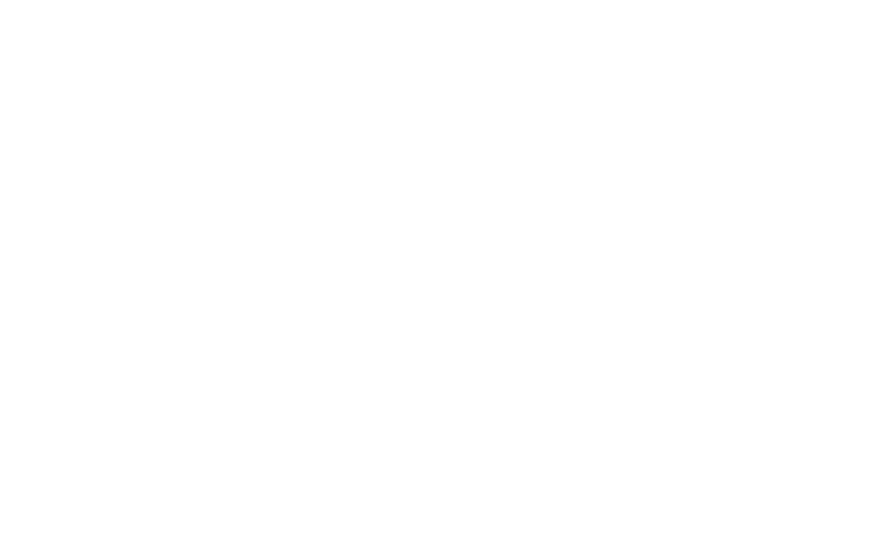 Spider web white with opacity