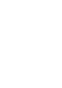 Spider web white with opacity