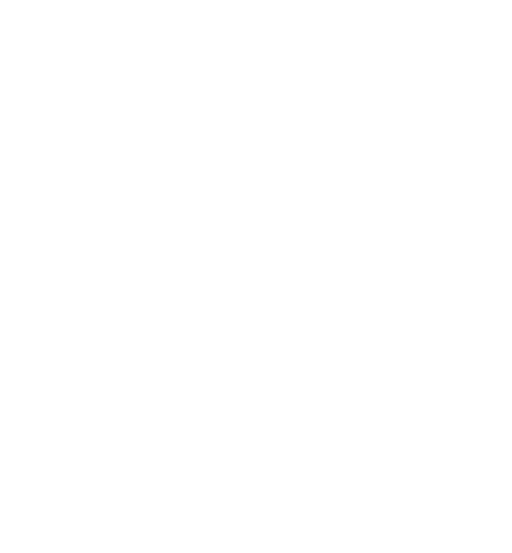 Spider web white with opacity