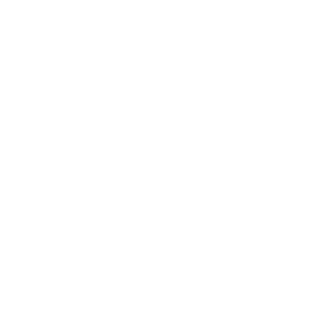 Spider web white with opacity