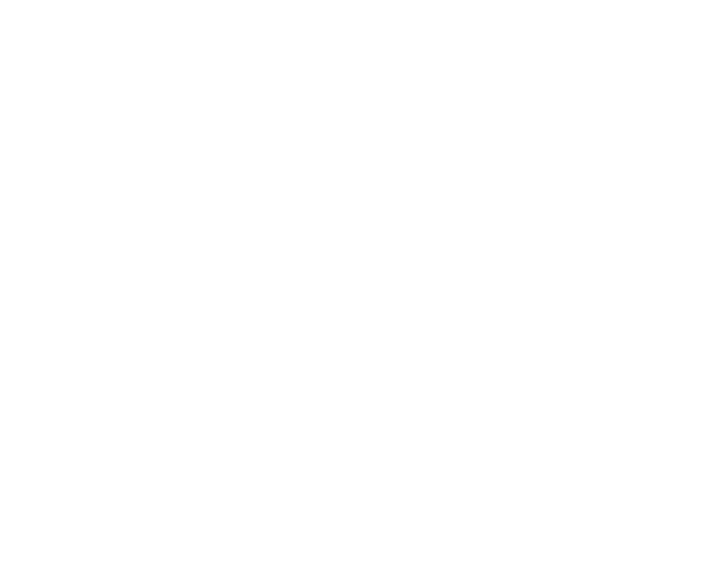 Spider web white with opacity