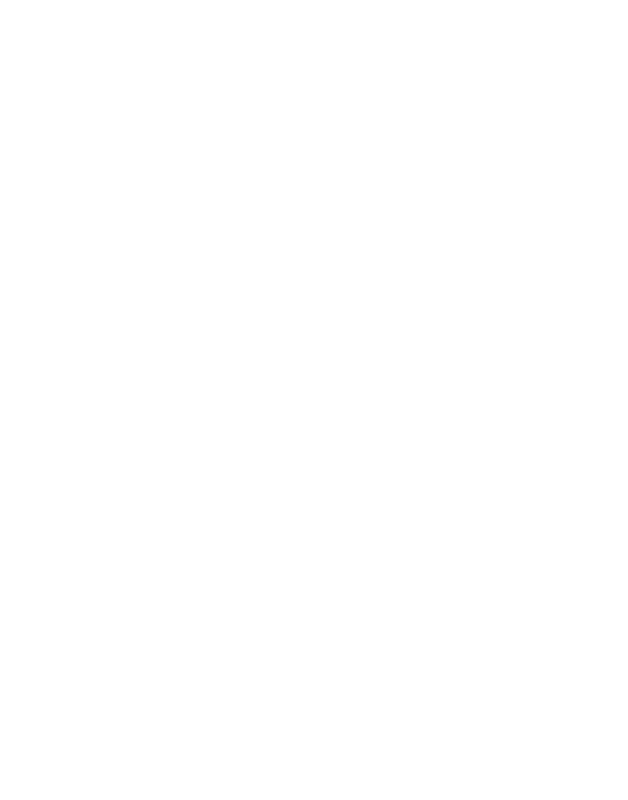 Spider web white with opacity