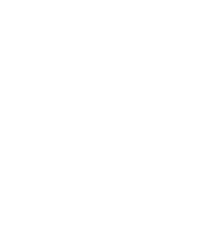 Spider web white with opacity